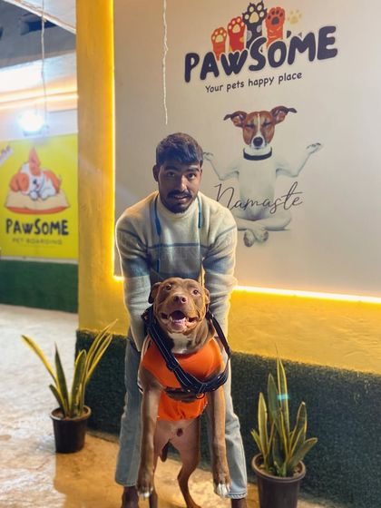 Unleashing pure joy, one moment at a time. This happy Pitbull is loving the attention.