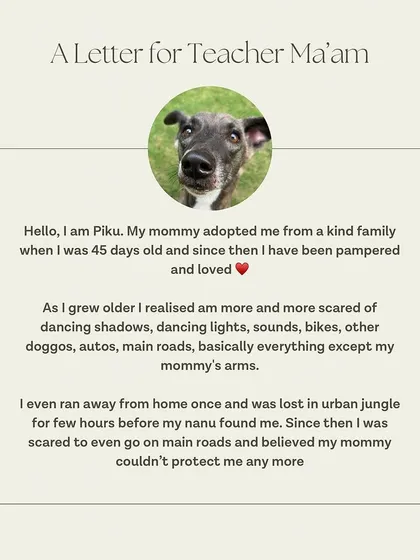 A letter from Piku's perspective, explaining her fears and how "Teacher Ma'am" helped her build confidence.