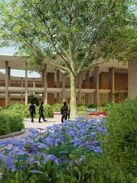 Landscape Architecture & Environmental Design