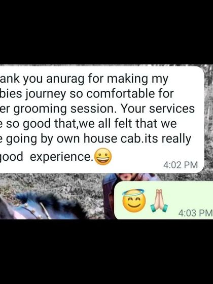 "We all felt that we are going by our own house cab." This is the highest compliment! Thank you for trusting me with your babies' grooming session transport.