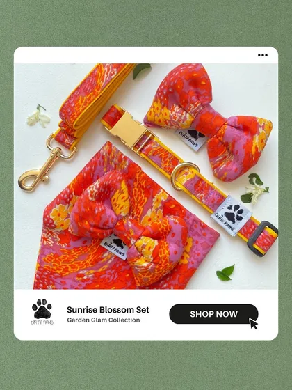 To give you an idea of our variety, here is the Sunrise Blossom Set from my Garden Glam collection. It includes a vibrant collar, a matching leash, a bowtie, and a bandana, all designed to bring a pop of color to your walks.