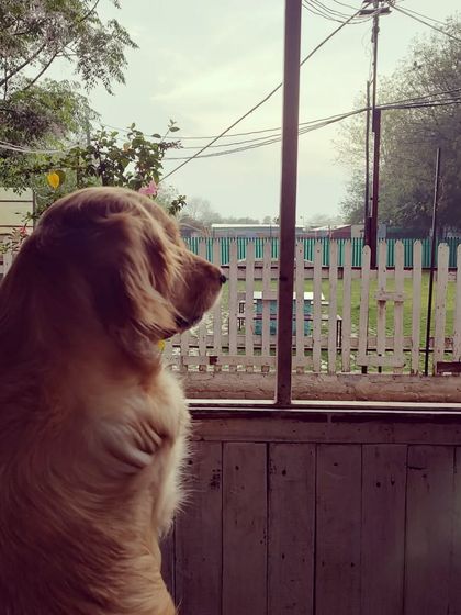 Even on a rainy day, the view is interesting. Our indoor spaces ensure the fun continues no matter the weather.