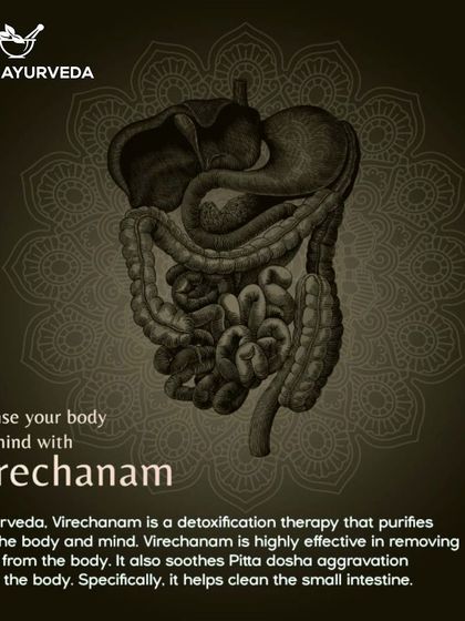 Virechanam is a medicated purgation therapy, a core part of Panchakarma detoxification. It purifies the body and mind by cleansing the small intestine and balancing the Pitta dosha.