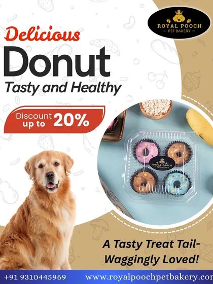 A tasty treat that's tail-waggingly loved! This golden retriever is all smiles for my delicious and healthy doggy donuts. They come in a pack of four with fun, colorful, pet-safe frosting.