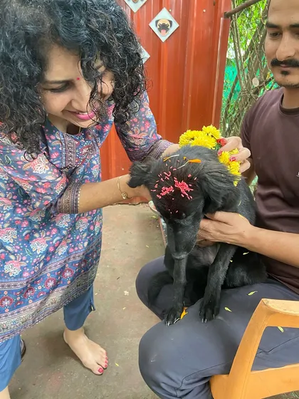 We believe in celebrating our furry friends as true family members. Here, we're performing a special Diwali puja for one of our guests, complete with a flower garland and a gentle tikka blessing. It's these moments of shared love and culture that make Petspace a real home.
