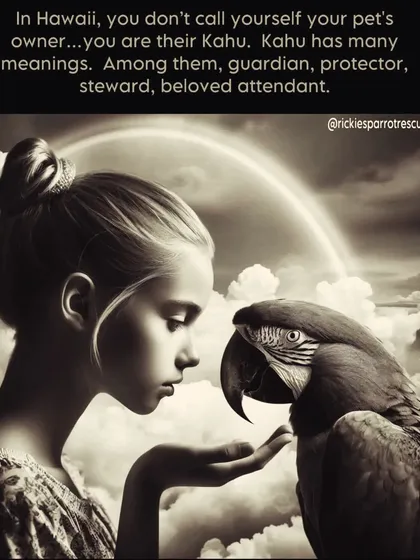 This image perfectly captures my guiding principle. I am not a pet owner; I am a 'Kahu', a guardian. My role is to protect, guide, and cherish the dogs in my care, treating them as a part of my soul. This philosophy is the foundation of all my consulting work.