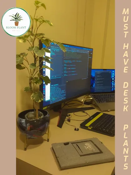 Creating the perfect green workspace is easy with the right desk plants. A leafy companion like this one can help boost your mood and productivity through the workday.
