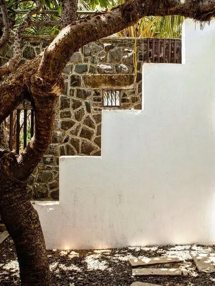 We believe architecture should coexist with, not dominate, the natural world. This courtyard is designed around a mature, sculptural tree, making the landscape an integral and celebrated component of the building's spatial experience.