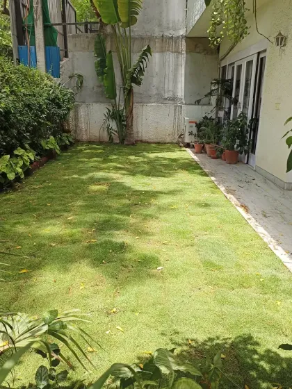 This is the kind of result I aim for. A lush, healthy, and evenly green lawn that completely transforms a home's backyard into a beautiful, relaxing space.