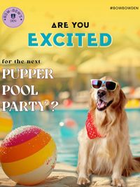 Pet Parties & Events