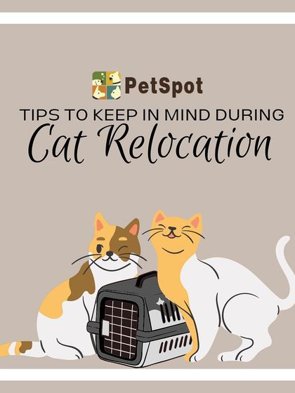 Pet Care & Grooming photo 8