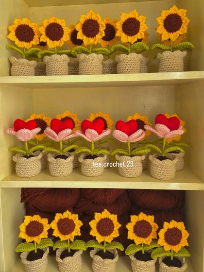 Cheerful Potted Plants photo 26