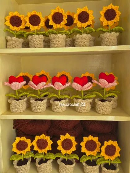 A lovely arrangement on my shelf featuring potted sunflowers and heart-shaped flowers.