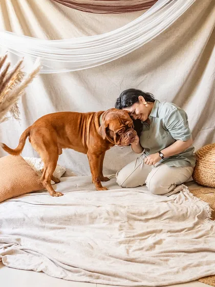 Who says you need a formal studio? We created this beautiful, earthy setup right in Romi the Mastiff's home, proving that comfort and creativity can go hand in hand for stunning portraits.