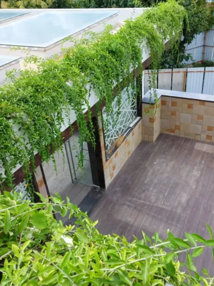 A rooftop patio with a cascade of green vines flowing over the edge of the roof. This creates a beautiful 'green waterfall' effect and provides natural cooling for the space below.