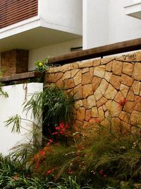 Landscape Architecture