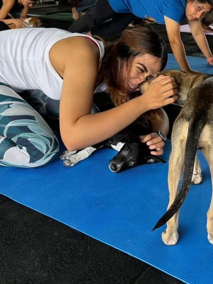 Charlie's Animal Rescue Centre - Community Outreach & Education The Power of Partnership: Corporate & Community Support photo 24