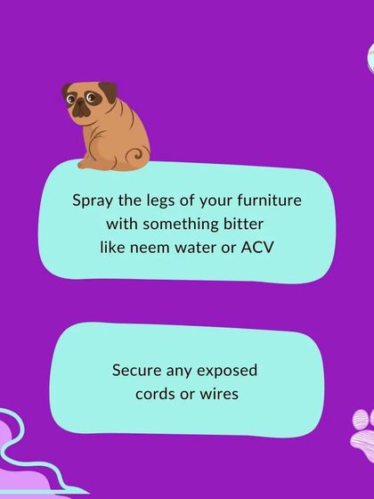 Furry Story - Pet Sitter & Home Boarder Training Starting Strong: Puppy Care & Socialization photo 8