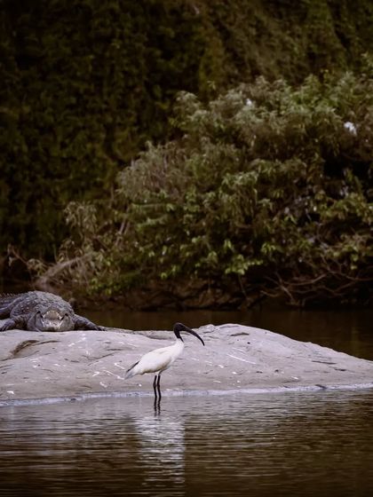 Zahid Moledina - Photography The World Up Close: Nature & Macro photo 4