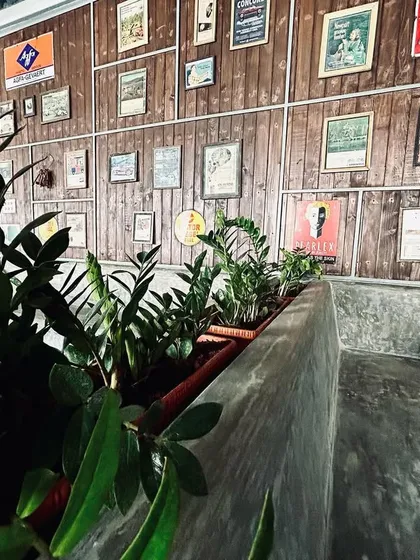 In this pub, we used a long, built-in planter to separate the seating booth from the main area. The mix of ZZ plants provides a hardy, attractive green element that thrives in the lower light conditions.