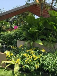 Landscape Design & Build