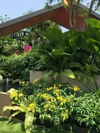 Landscape Design & Build
