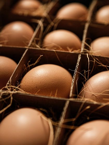 Food & Beverage Stories photo 16