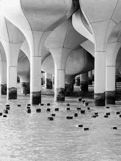 The sculptural concrete pillars beneath Little Island park in NYC. The black and white conversion brings out the texture and flowing forms of the architecture.