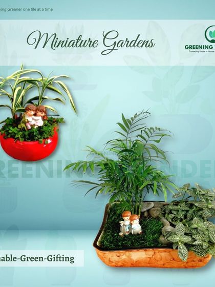 Greening Wonders - Corporate & Personal Plant Gifting Additional Work photo 29