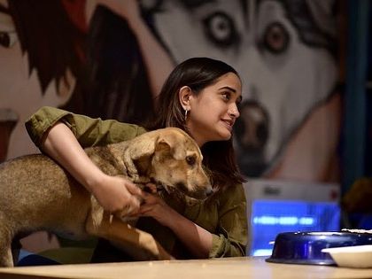 Bugs enjoying his lunch at the table. He's one of our beloved in-house dogs and a great ambassador for adopting indies.