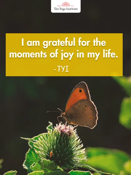 "I am grateful for the moments of joy in my life." Gratitude grows when we acknowledge the simple, joyful moments of laughter, connection, and peace that nourish the soul.