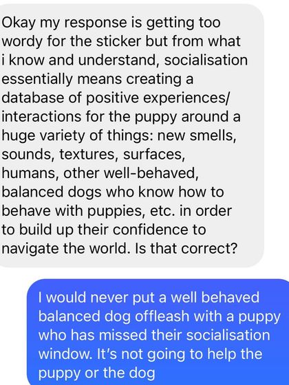 Confident Dogs - Canine Behavior Modification My Journey and Why I Can Help photo 3