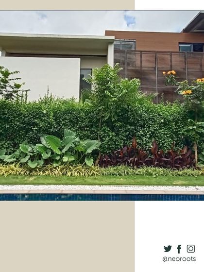 Neo Roots Design - Landscape Design & Execution Villa & Farmhouse Estates photo 8