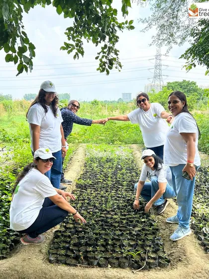A group of dedicated volunteers, mostly women, taking part in a plantation event. Their commitment is helping us grow a green legacy, and they are true eco-heroes building a more sustainable future.