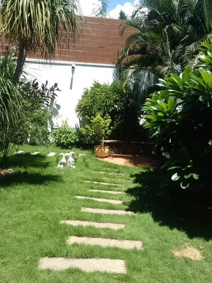 A simple stone pathway can completely change the feel of a garden. We lay these paths to create a beautiful walk through your lawn, connecting different parts of your outdoor space.