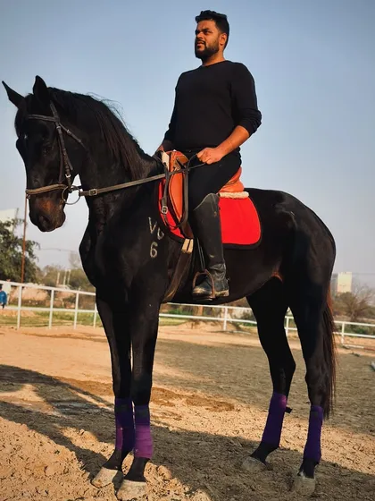 A rider sits atop a stunning black horse, both looking poised and powerful. This is one of our prized horses, known for his calm demeanor.