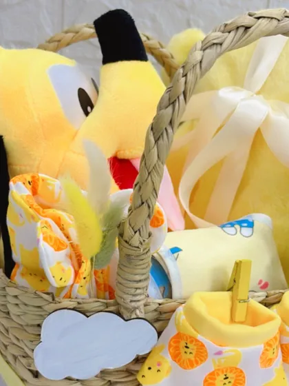 Another close-up of the newborn hamper, focusing on the soft textures of the blanket and the cheerful face of the Pluto toy peeking out.