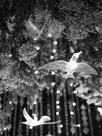 A black and white photo highlighting the magical detail of illuminated birds hanging amidst floral arrangements. This artistic shot emphasizes the enchanting and dreamlike quality of our decor.