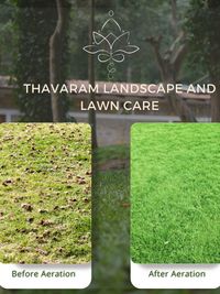 Lawn & Garden Maintenance