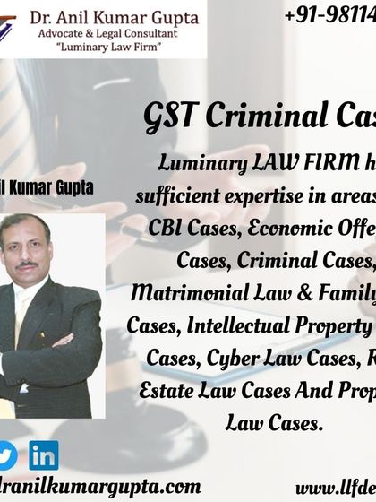 We have sufficient expertise in GST criminal cases and other economic offences. This graphic lists the broad areas of law our firm handles, demonstrating our comprehensive capabilities in criminal and financial law.