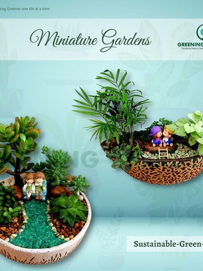 Greening Wonders - Corporate & Personal Plant Gifting Additional Work photo 28