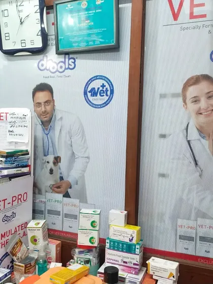 A view of our well-organized product section. I make sure to carry a variety of trusted brands and specialized veterinary products so you can find exactly what your pet needs to thrive.