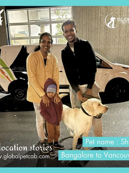 A happy family reunion in Vancouver. Shiro, a lovely Labrador, is pictured here with his family after we managed his safe relocation from Bangalore. We offer door-to-door service to make the final step of the journey seamless.