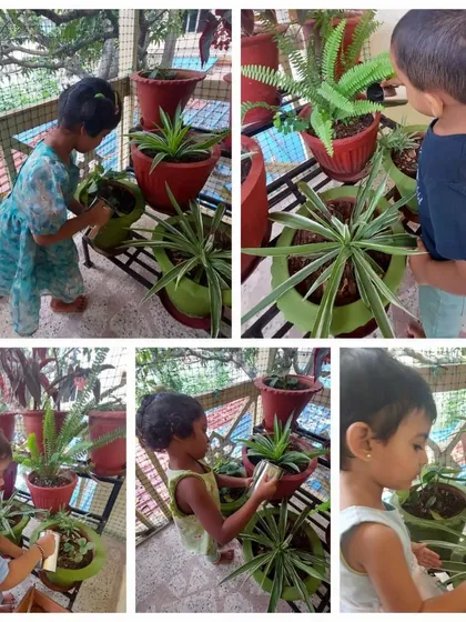 We believe in caring for our environment. Children learn responsibility and a love for nature by taking care of our school's plants, watering them, and watching them grow.