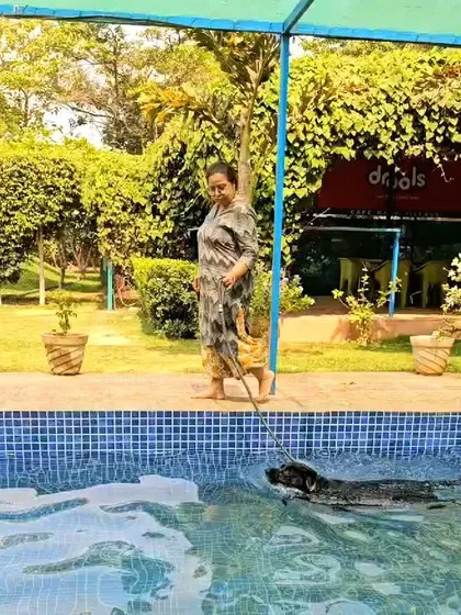 A client guides her dog Sultan on a leash during his first swim, providing comfort and support.