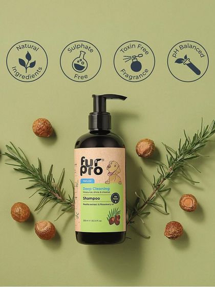 Zigly - Pet Supplies Our Exclusive Products photo 26