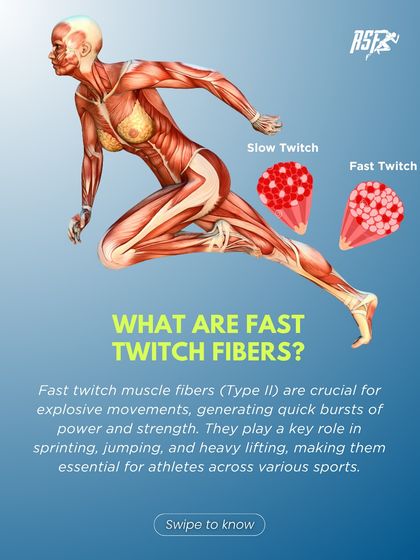 What are Fast Twitch Fibers? This infographic explains that Type II muscle fibers are crucial for explosive movements like sprinting and jumping, making them essential for athletes.