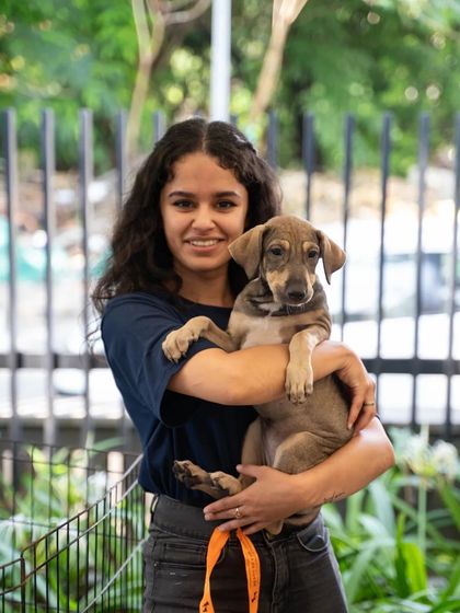 Charlie's Animal Rescue Centre - Community Outreach & Education Community Fundraising Events photo 49