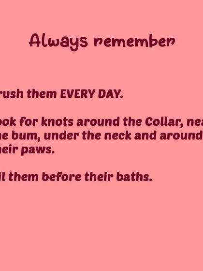 Tail It Easy - Mobile Pet Grooming Pet Parent Pro-Tips photo 13