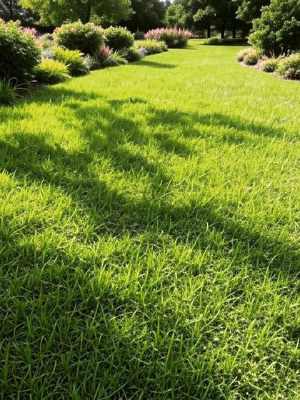 Garden & Lawn Designs photo 44